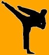 4MAKA Taekwondo Logo