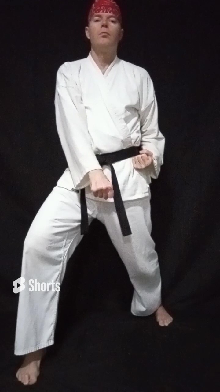 Taekwondo Chon-Ji First Move Low Defense 4MAKA